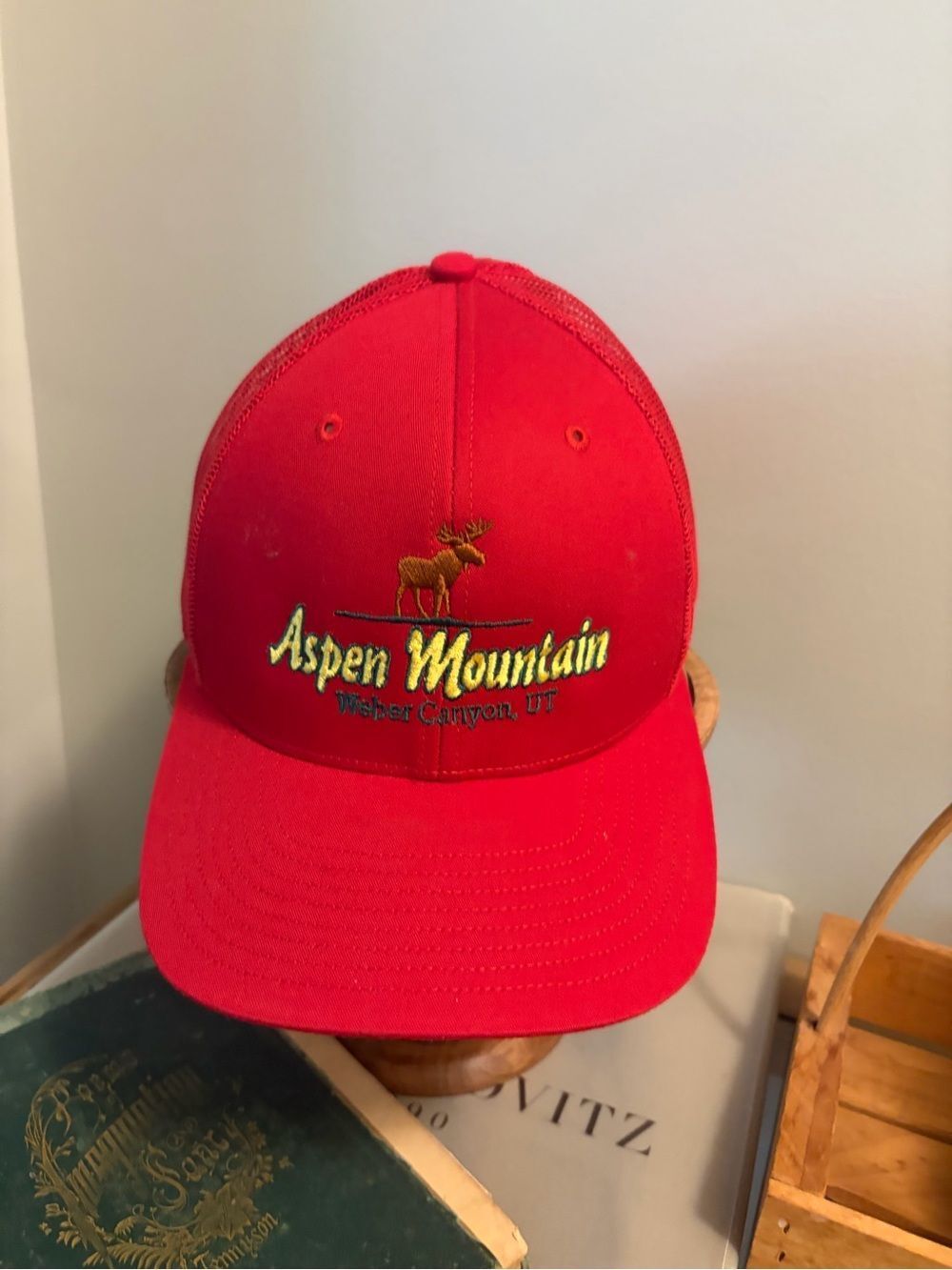 Aspen Mountain vintage Richardson mesh trucker hat. Weber canyon Utah